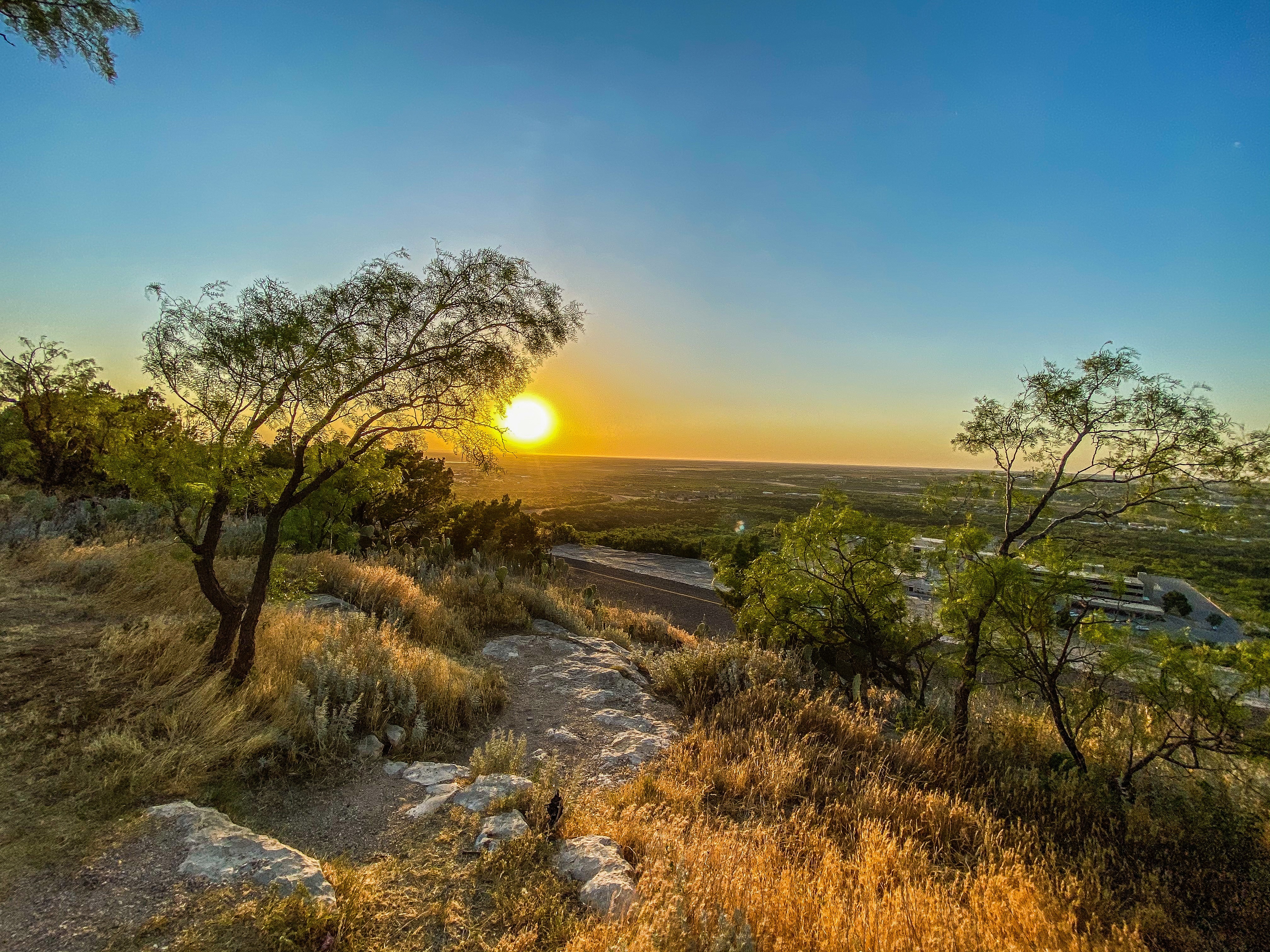 Artificial turf services in Spring, TX